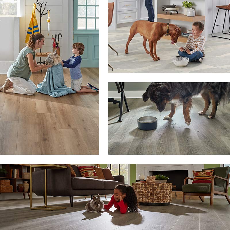 Petdefense hard surface flooring exclusively at Floors To Go
