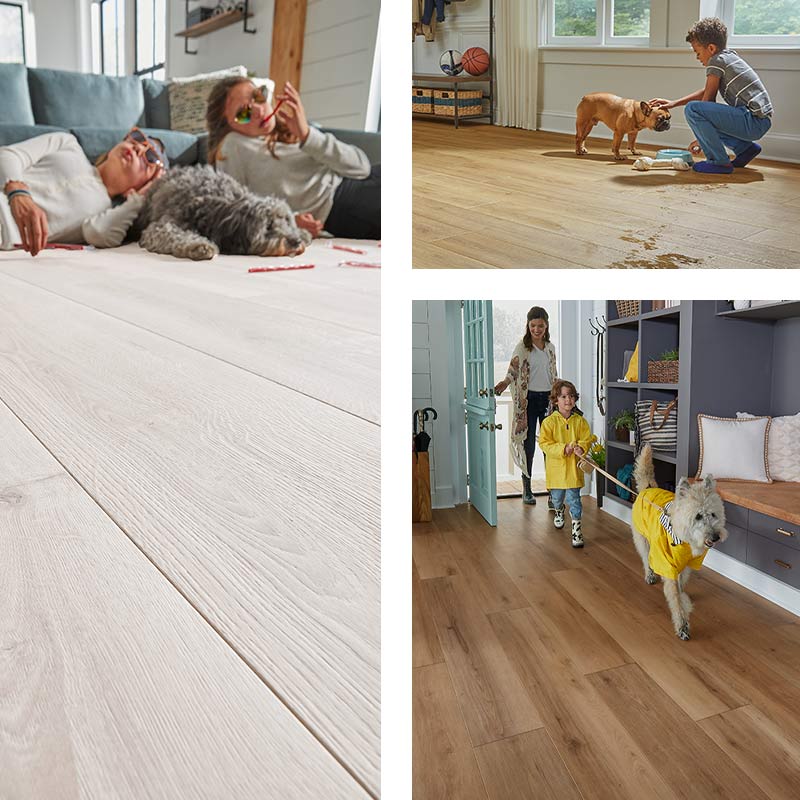 Petdefense hard surface flooring exclusively at Floors To Go